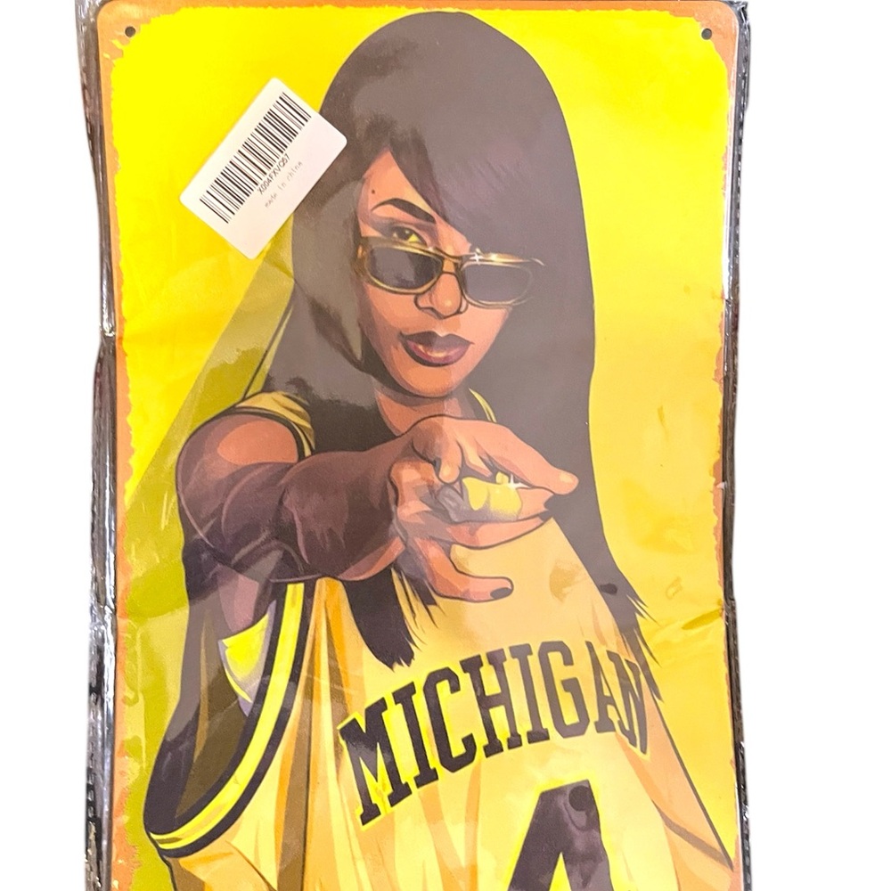 Aaliyah michigan  license plate memorabilia